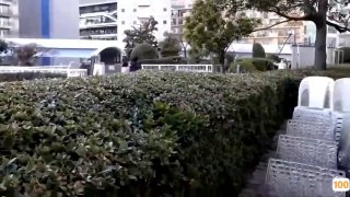 欧美色惰图片_欧美亚洲精品成人视频